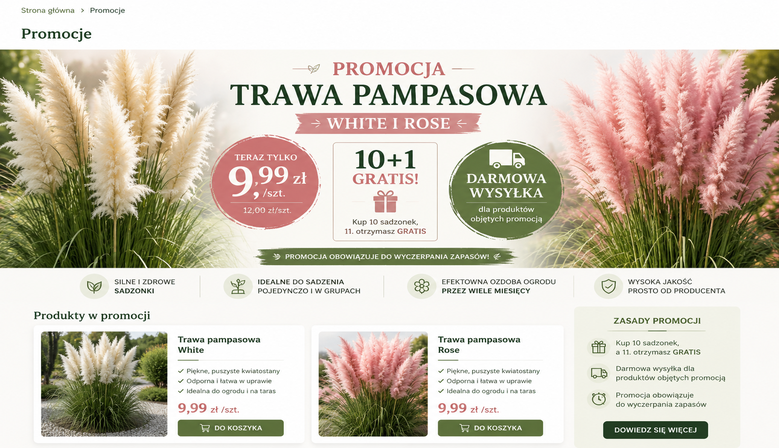 9,99ZŁ 10+1 GRATIS Darmowa wysyłka 